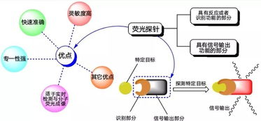 第十二屆“挑戰杯”大學生課外學術科技作品競賽優秀作品展示（四） 環境科技領域的技術開發